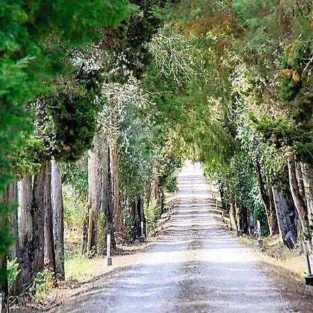 Quinta Da Alcaidaria Mor Hotel